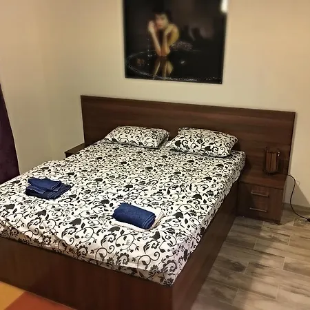 公寓 Victoriei 布加勒斯特