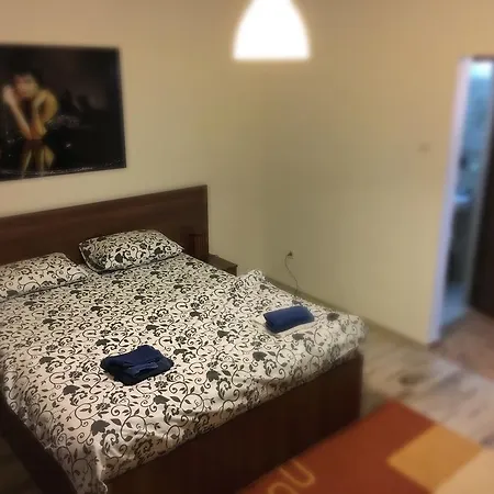 Apartment Victoriei *