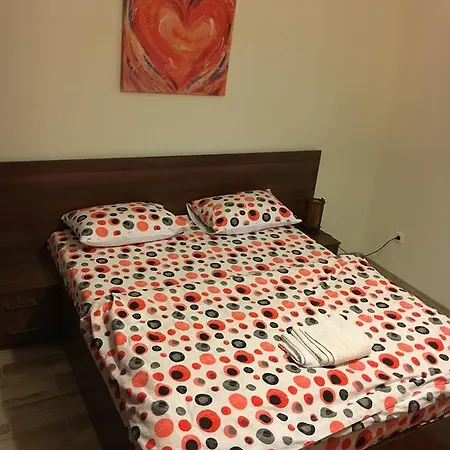 Apartment Victoriei *