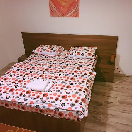 Apartment Victoriei *